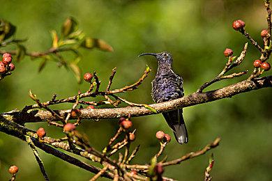 《空之轨迹 the 1st》公布游戏世界新情报 9月19日发售